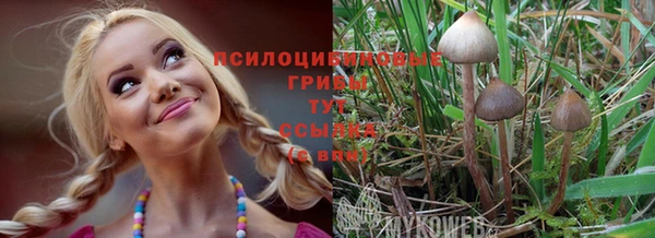 прущая мука Алзамай